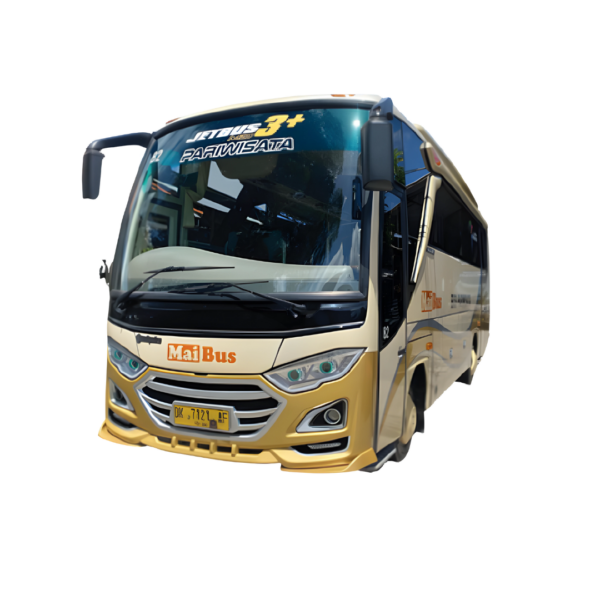 Bus Medium 29 Seater