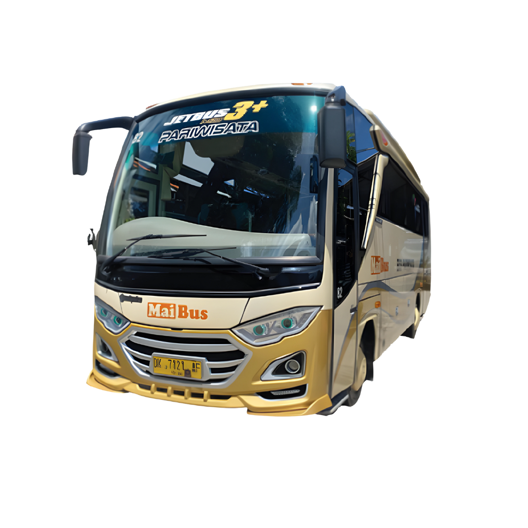 Bus Medium 29 Seater