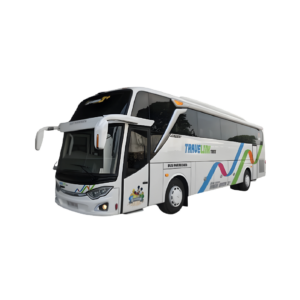 Bus Medium 35 Seater